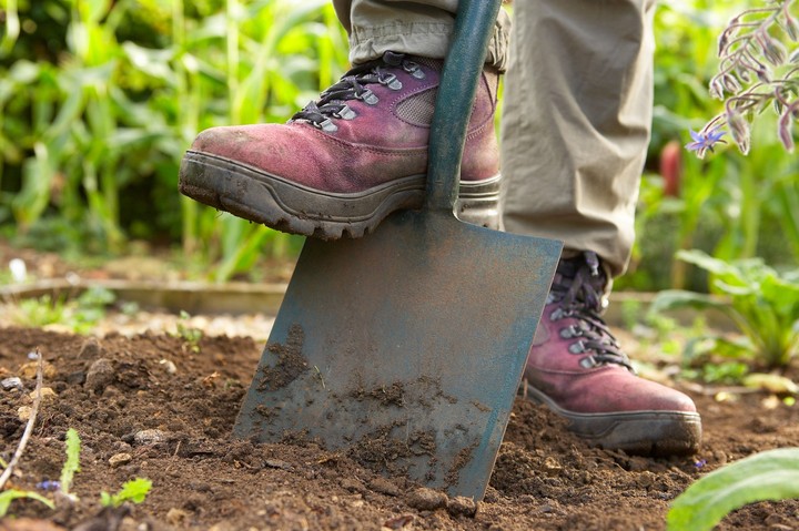 Nová záhrada - rýľovanie